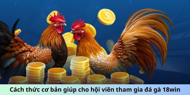 Đá Gà 18win - Trực Tiếp Chọi Kê, Tận Hưởng Cảm Xúc Thăng Hoa